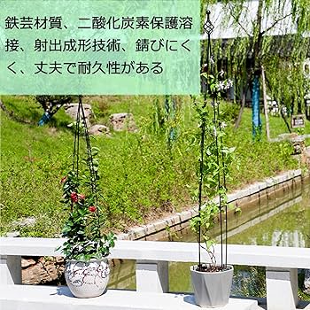 鉄製植物ディスプレイフレーム Amazon.co.jp: フラワーディスプレイスタンド、3レイヤーの花屋